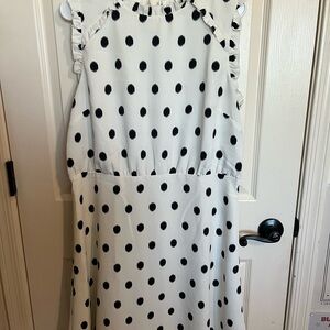 Ann Taylor Black and White Ruffle Dress